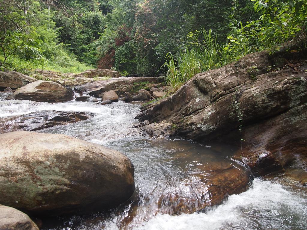 The Kandy Samadhicentre Narampanawa Экстерьер фото